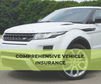 Comprehensive Vehicle Insurance – Limited